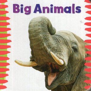 Big Animals ( Chunky Board Book )