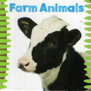 Farm Animals ( Chunky Board Book )