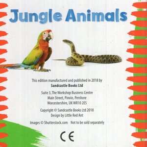Jungle Animals (Chunky Board Book)