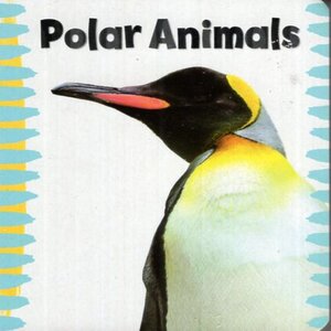 Polar Animals (Chunky Board Book)