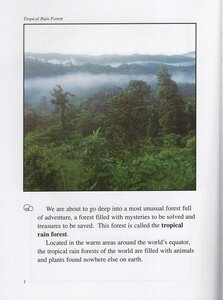 About the Rain Forest ( We Both Read Level 1-2 )