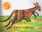 El Canguro Tiene Mamá? (Does a Kangaroo Have a Mother Too?) (World of Eric Carle Spanish)