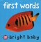 First Words ( Bright Baby Board Book ) (5x5)