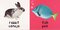 Animals / Animales ( Bright Baby Board Book Bilingual )