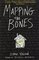 Mapping the Bones (Paperback)