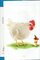 Backyard Chickens (Penguin Young Readers Level 3)