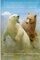 Oso Polar vs Oso Grizzly (Polar Bear vs Grizzly Bear) (Who Would Win Spanish)