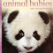 Animal Babies on Mountains ( Animal Babies ) (Board Book)