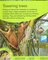 Rainforests (Explorers) (Hardcover)