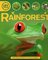 Rainforest ( Lifecycles )
