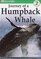 Journey of a Humpback Whale ( DK Readerd Level 2 )