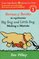 Big Dog and Little Dog Making a Mistake / Perrazo Y Perrito Se Equivocan ( Green Light Reader Bilingual Level 1 ) (Hardcover)