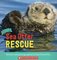 Sea Otter Rescue ( Wildlife Rescue )