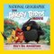 Angry Birds Movie: Red's Big Adventure ( National Geographic Kids )