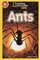 Ants ( National Geographic Kids Readers Level 1 ) (Paperback) UK
