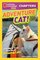 Adventure Cat!: And True Stories of Adventure Cats! ( National Geographic Kids Chapters )