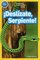 Deslízate Serpiente! ( Slither Snake ) ( National Geographic Kids Readers Level Pre-Reader Spanish )