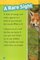 Foxes (National Geographic Kids Readers Level 2)