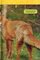 Foxes (National Geographic Kids Readers Level 2)