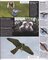 Birds of Prey (Visual Explorers)