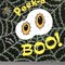 Peek A Boo! (Board Book)