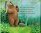 Bear's New Friend (Bear Books) (Paperback) (B)