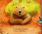 Bear Says Thanks (Bear Books) (Paperback) (B)