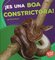 Una Boa Constrictora! ( It's a Boa Constrictor! ) ( Bumba Books en Español: Animales de la Selva Tropical ( Rain Forest Animals ) )