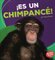 Es Un Chimpancé! ( It's a Chimpanzee! ) ( Bumba Books en Español: Animales de la Selva Tropical ( Rain Forest Animals ) )