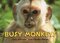 Busy Monkeys (Busy Books) (Board Book)