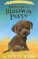 Buttons the Runaway Puppy ( Pet Rescue Adventures ) (Paperback)