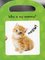 Baby Animals (My First Lift and Learn) (Board Book)
