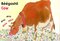 Brian Wildsmith's Farm Animals (Navajo/English) (Board Book)