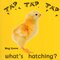 Tap Tap Tap What's Hatching (Rourke Board Book)