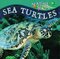 Sea Turtles ( Marine Life )