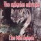 I See Wild Animals / Veo Animales Salvajes ( Rourke Board Books Bilingual )