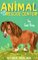 Sad Pony ( Animal Rescue Center )