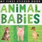 Animal Babies (My First Sticker Book)