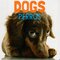 Dogs / Perros ( Animal Lovers Bilingual ) (Board Book)