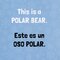 Polar Pals / Amigos Polares (Animal Lovers Bilingual) (Board Book)