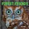 Forest Friends (Animal Lovers) (Board Book)
