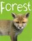 Forest ( Zoom Books ) (Board Book)