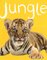 Jungle ( Zoom Books ) (Board Book)
