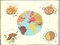 Foods of the World (360 Degrees)