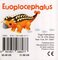 Euoplocephalus (My Little Dinosaur) (Chunky Board Book)